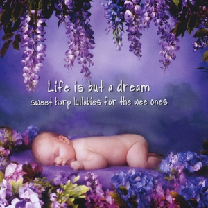 泰国黄色淫秽网站
