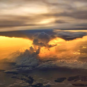 泰国黄色淫秽网站
