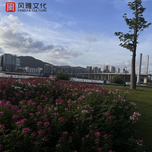 泰国黄色淫秽网站
